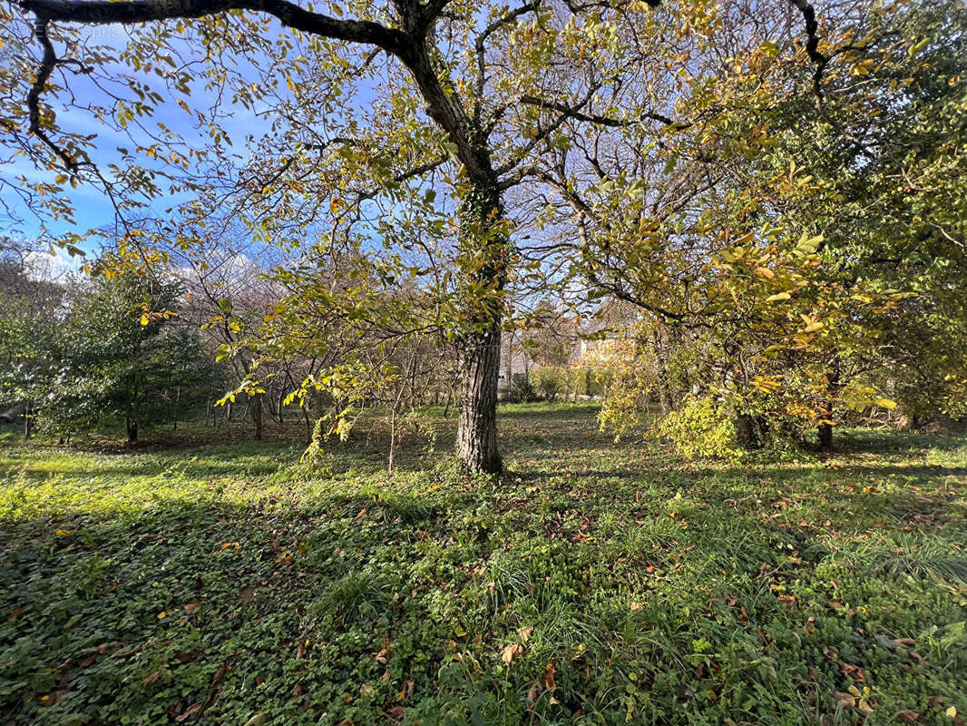 Terrain à SAINT-AMAND-EN-PUISAYE