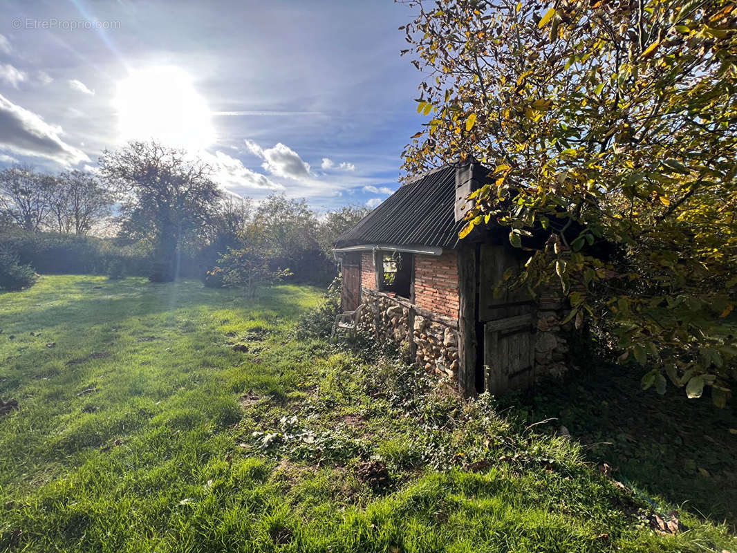 Terrain à SAINT-AMAND-EN-PUISAYE