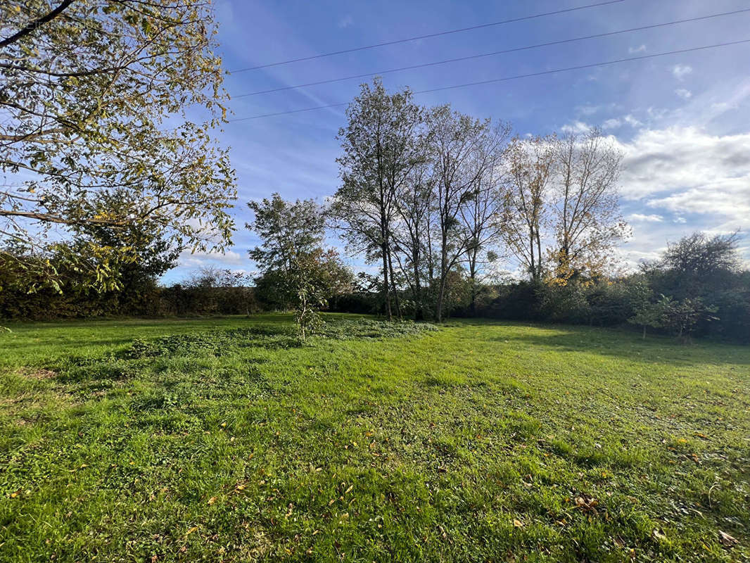 Terrain à SAINT-AMAND-EN-PUISAYE