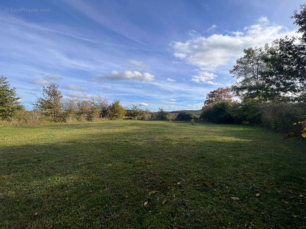 Terrain à SAINT-AMAND-EN-PUISAYE