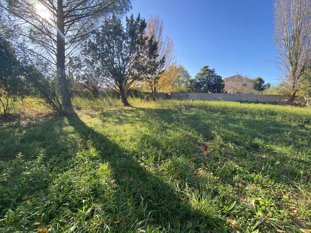 Terrain à PIGNANS