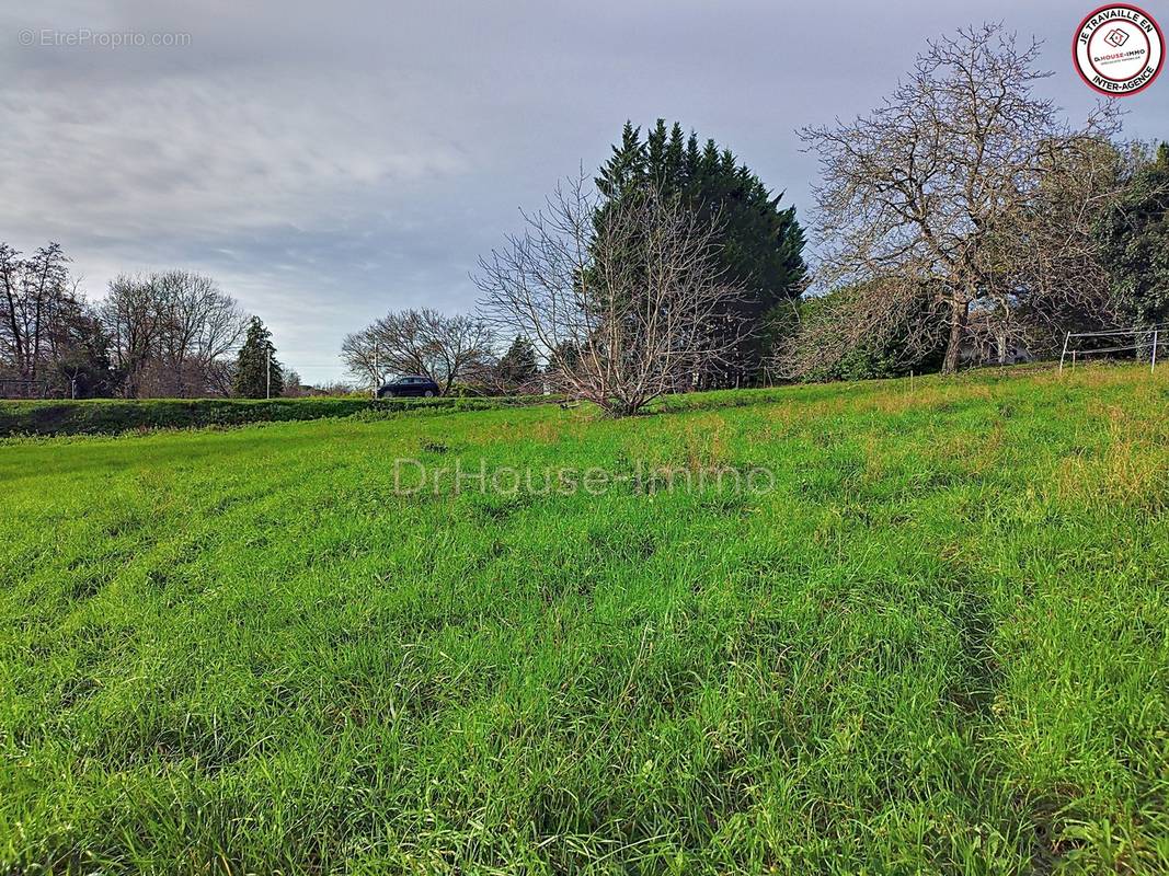 Terrain à BERSON