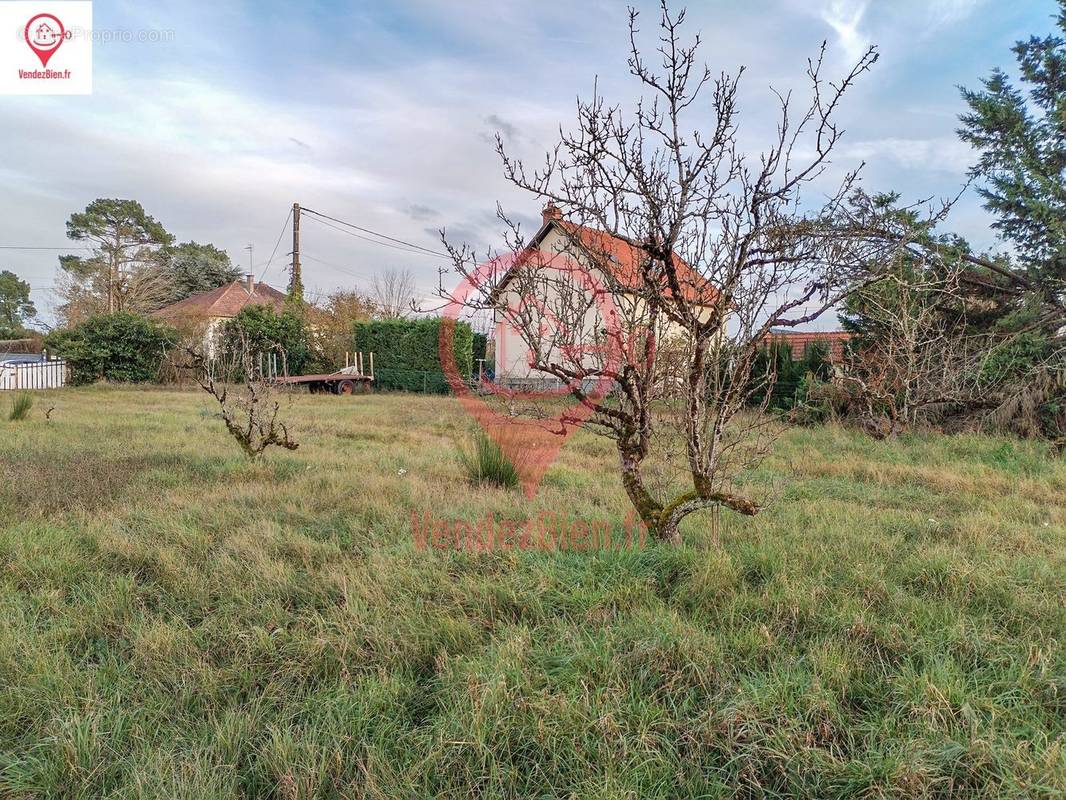 Terrain à VIGNOUX-SUR-BARANGEON