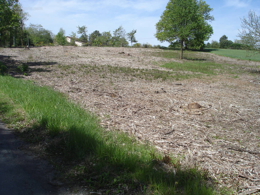 Terrain à SAINT-ROMAIN-ET-SAINT-CLEMENT