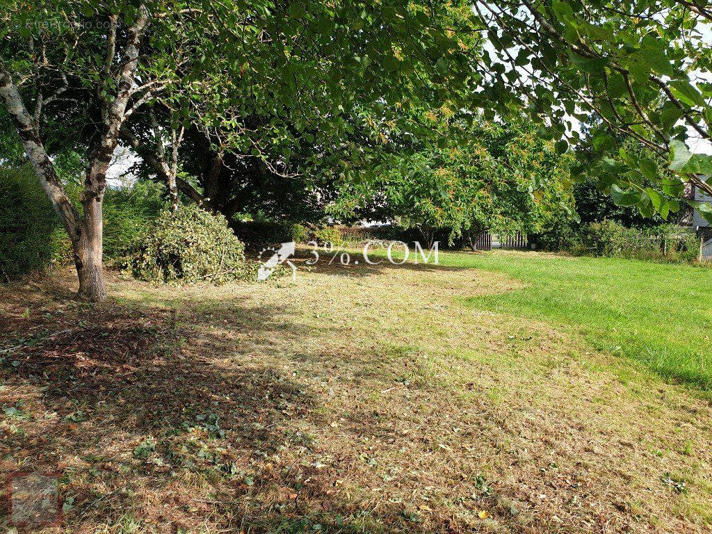 Terrain à ANGERS