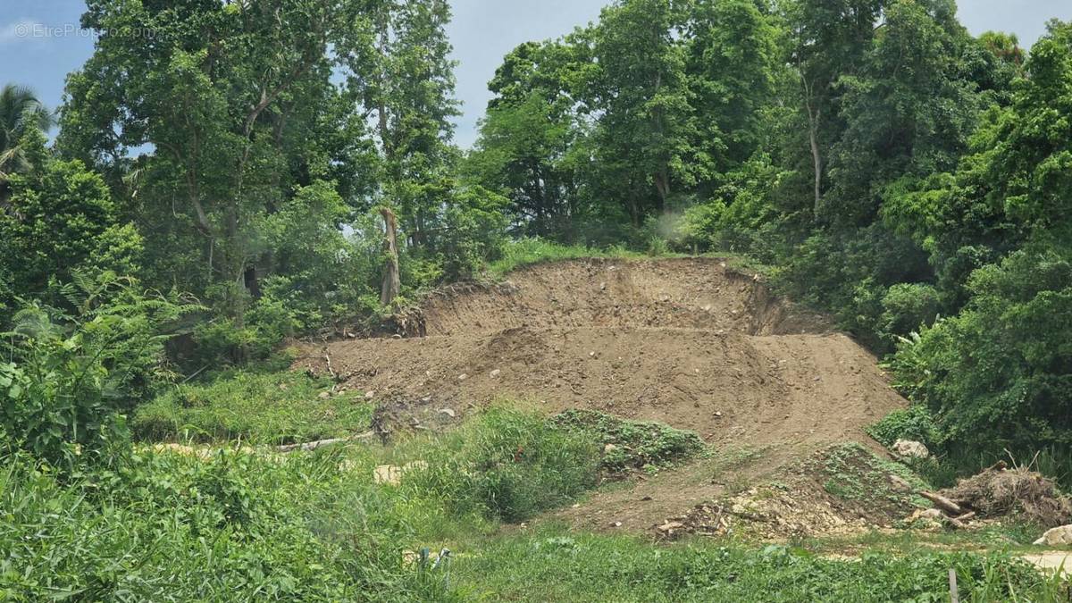 Terrain à LES ABYMES