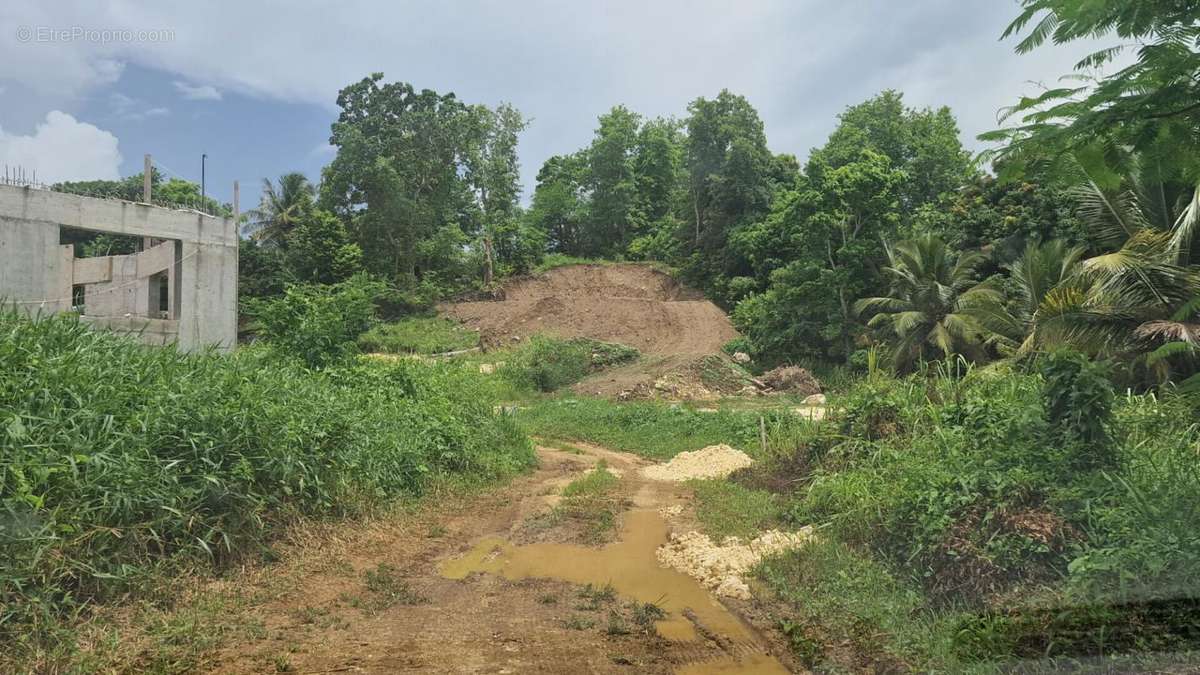 Terrain à LES ABYMES