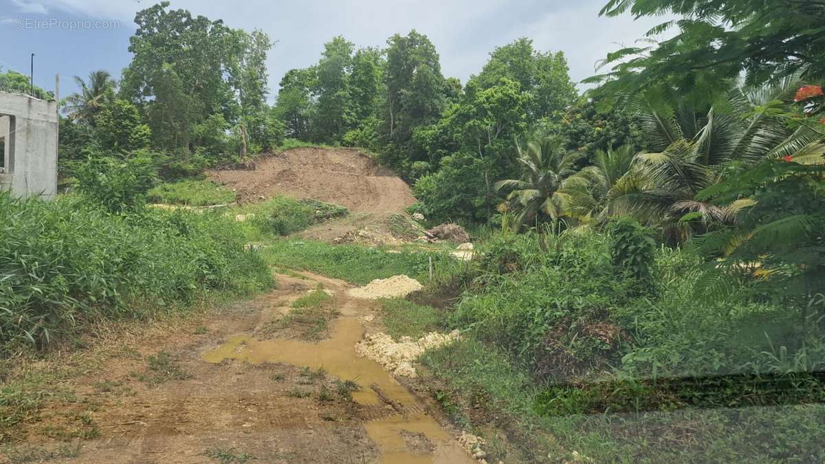 Terrain à LES ABYMES