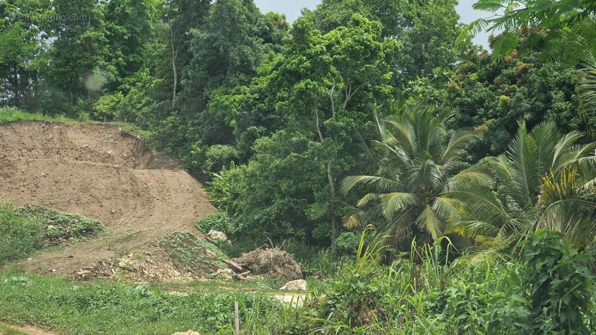 Terrain à LES ABYMES