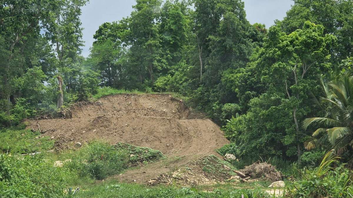 Terrain à LES ABYMES