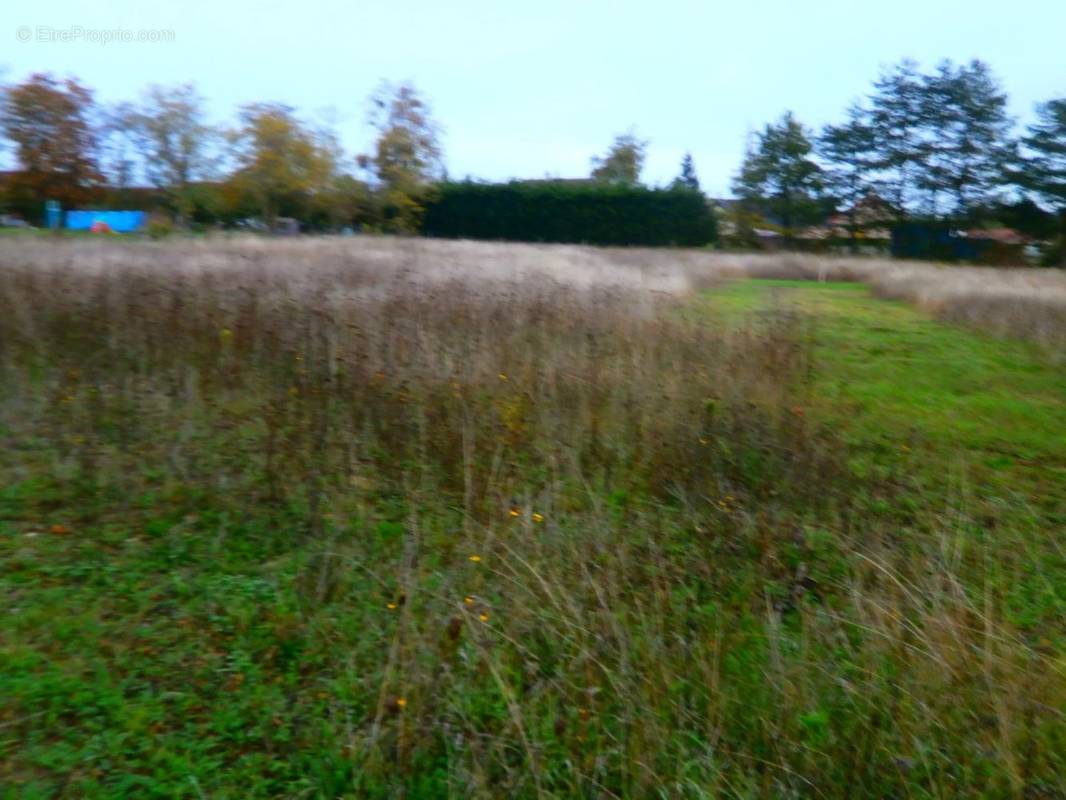 Terrain à REUILLY