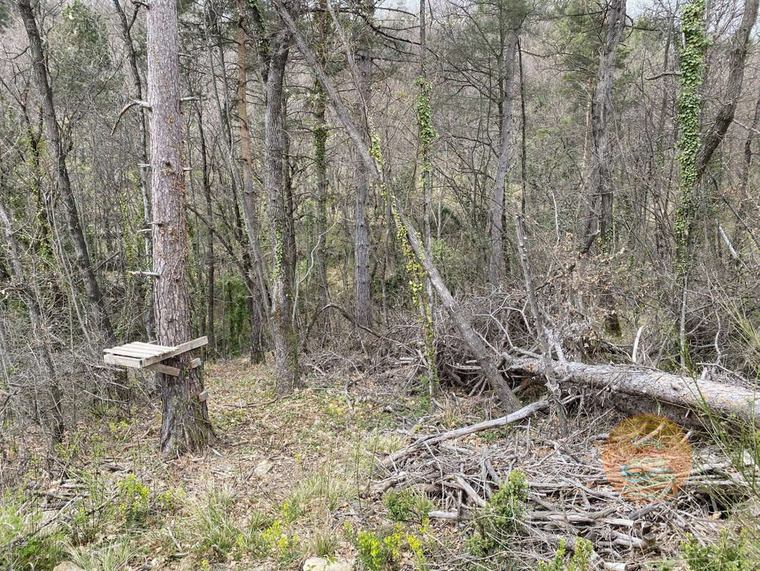 Partiellement plat et arboré - Terrain à VESSEAUX