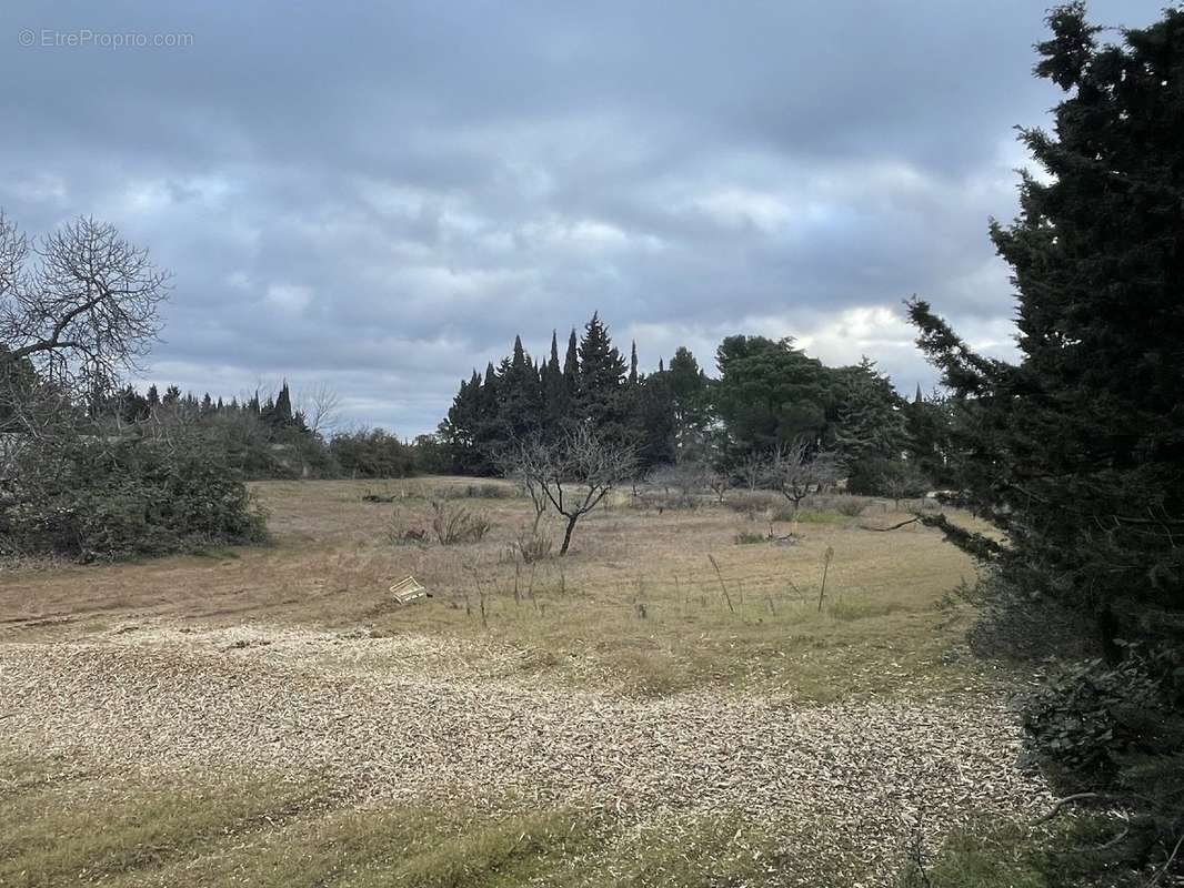 Terrain à BOUJAN-SUR-LIBRON