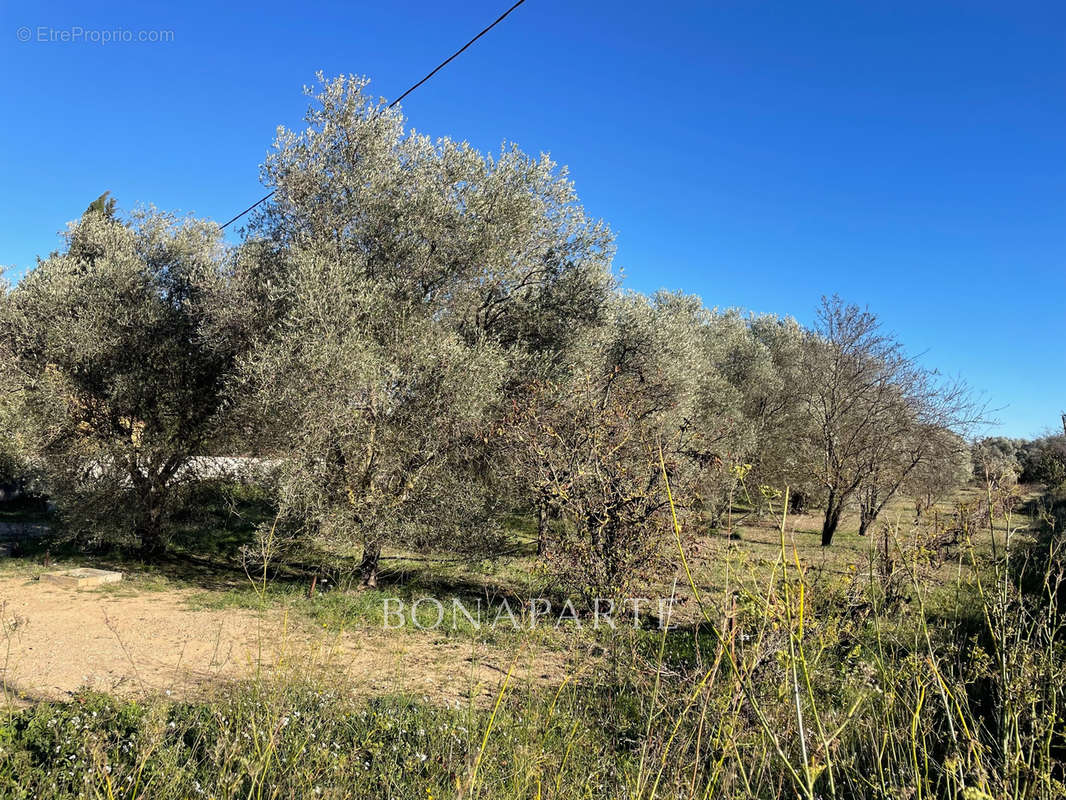 Terrain à ROQUEBRUNE-SUR-ARGENS