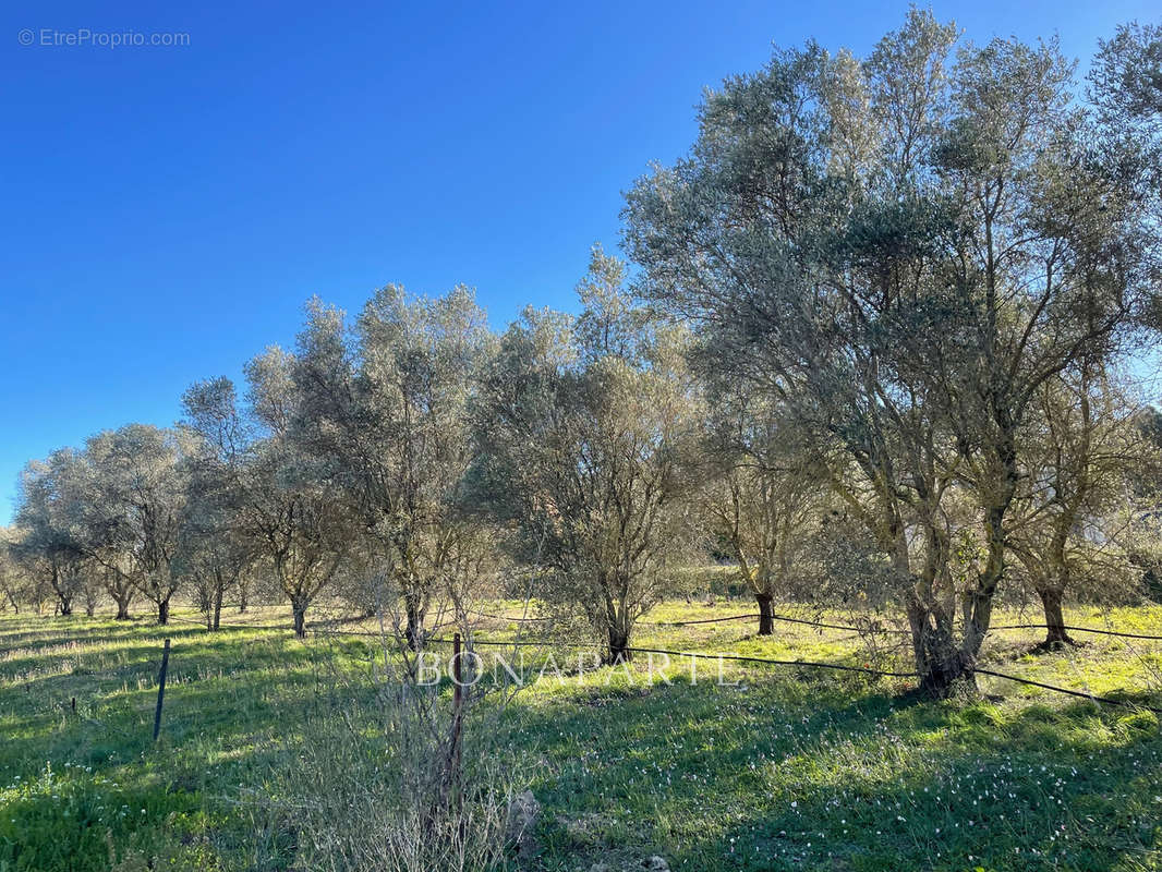 Terrain à ROQUEBRUNE-SUR-ARGENS