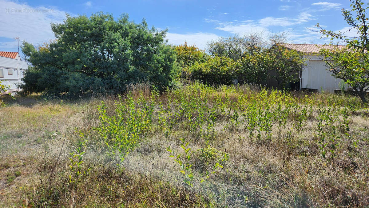 Terrain à SAINT-HILAIRE-DE-RIEZ