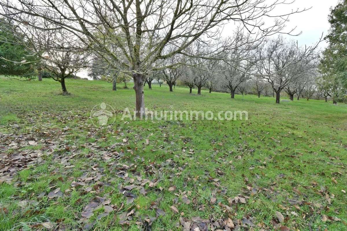 Terrain à GRAGNAGUE