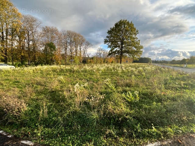 Terrain à SEIGNELAY