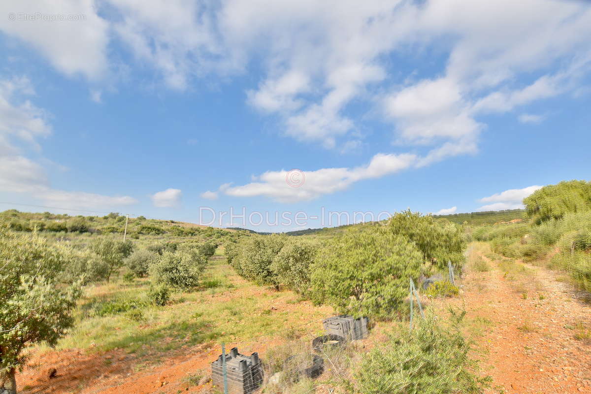 Terrain à CALCE