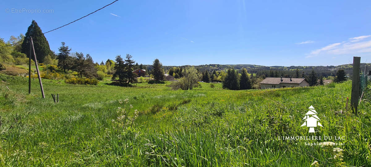 Terrain à LE CHAMBON-SUR-LIGNON