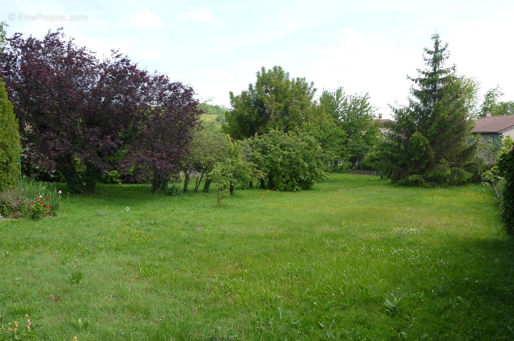 Terrain à LES COTES-D&#039;AREY