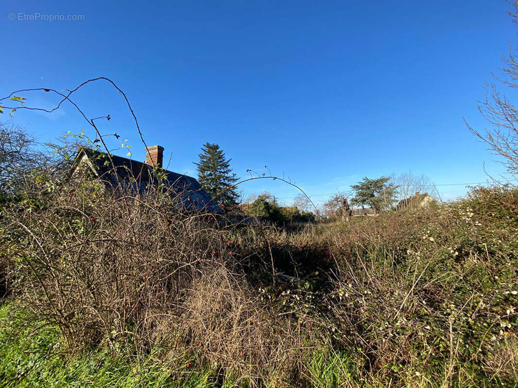 Terrain à DAMVILLE