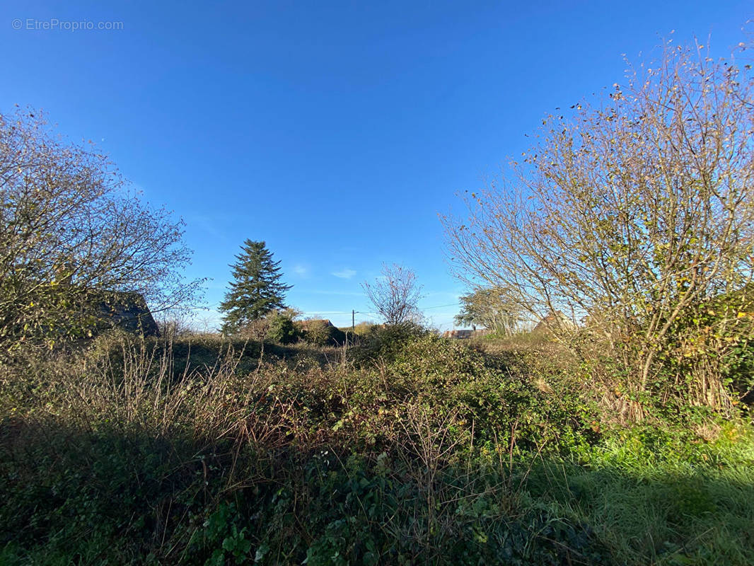 Terrain à DAMVILLE