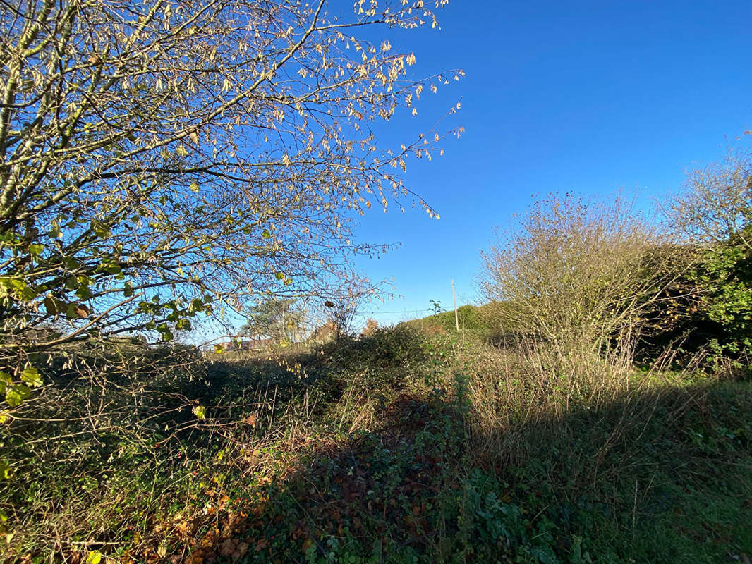 Terrain à DAMVILLE