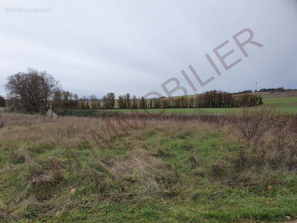 Terrain à VINCELLES