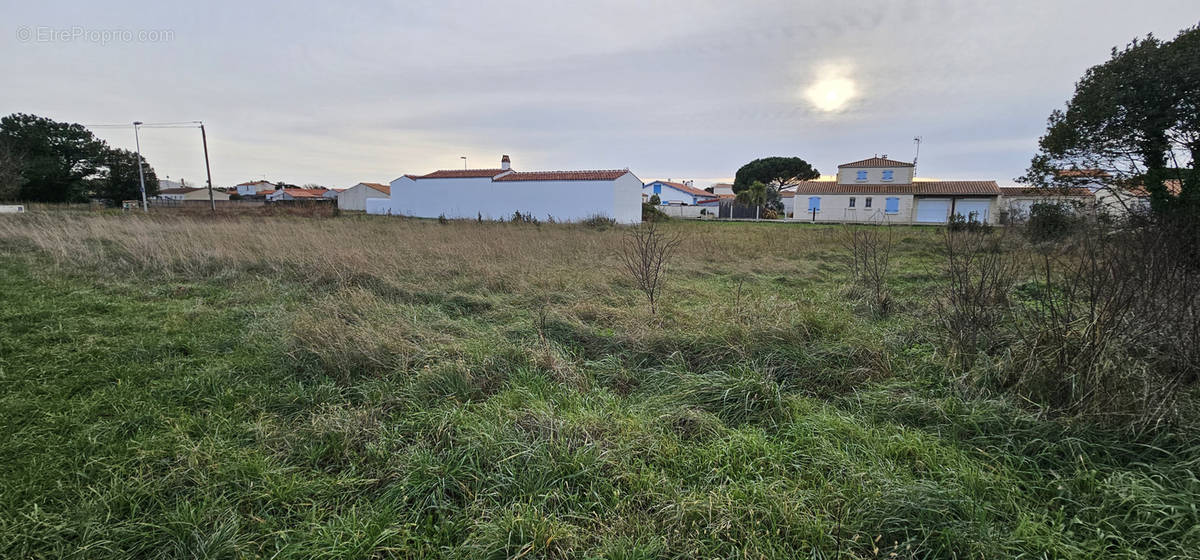 Terrain à SAINT-PIERRE-D&#039;OLERON