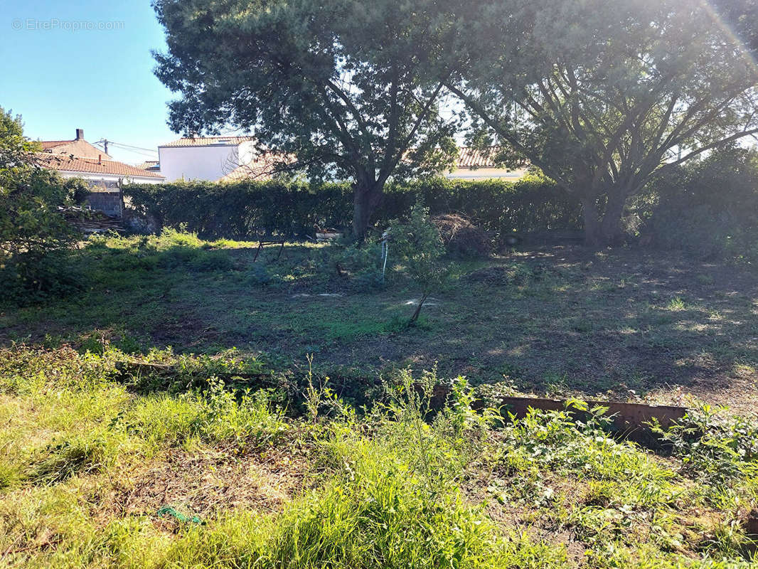 Terrain à LE CHATEAU-D&#039;OLERON