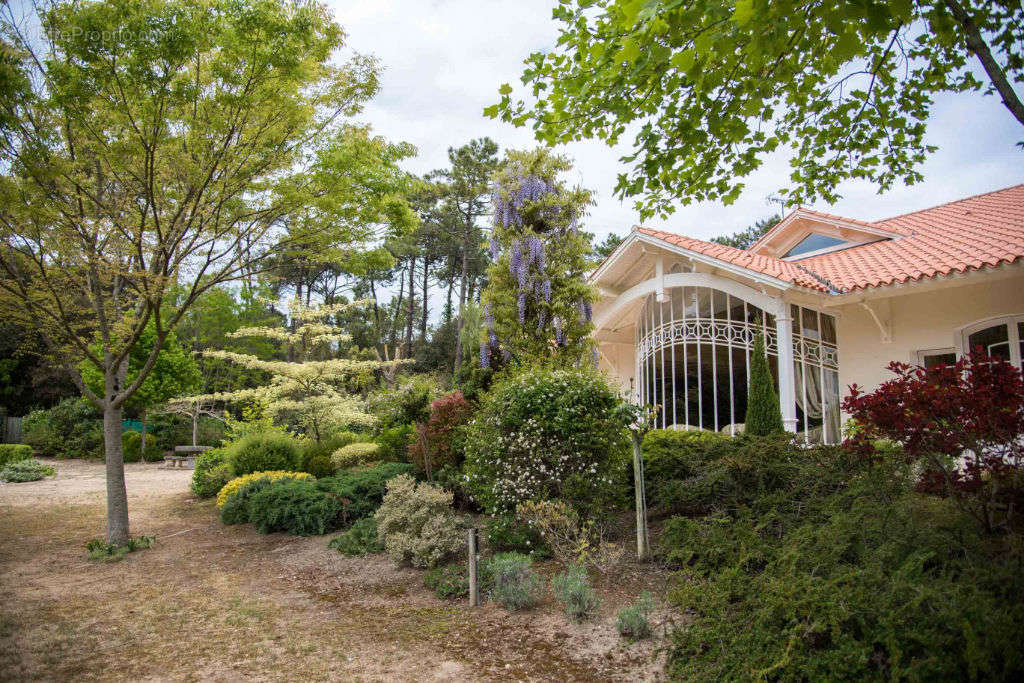 Maison à NOTRE-DAME-DE-MONTS