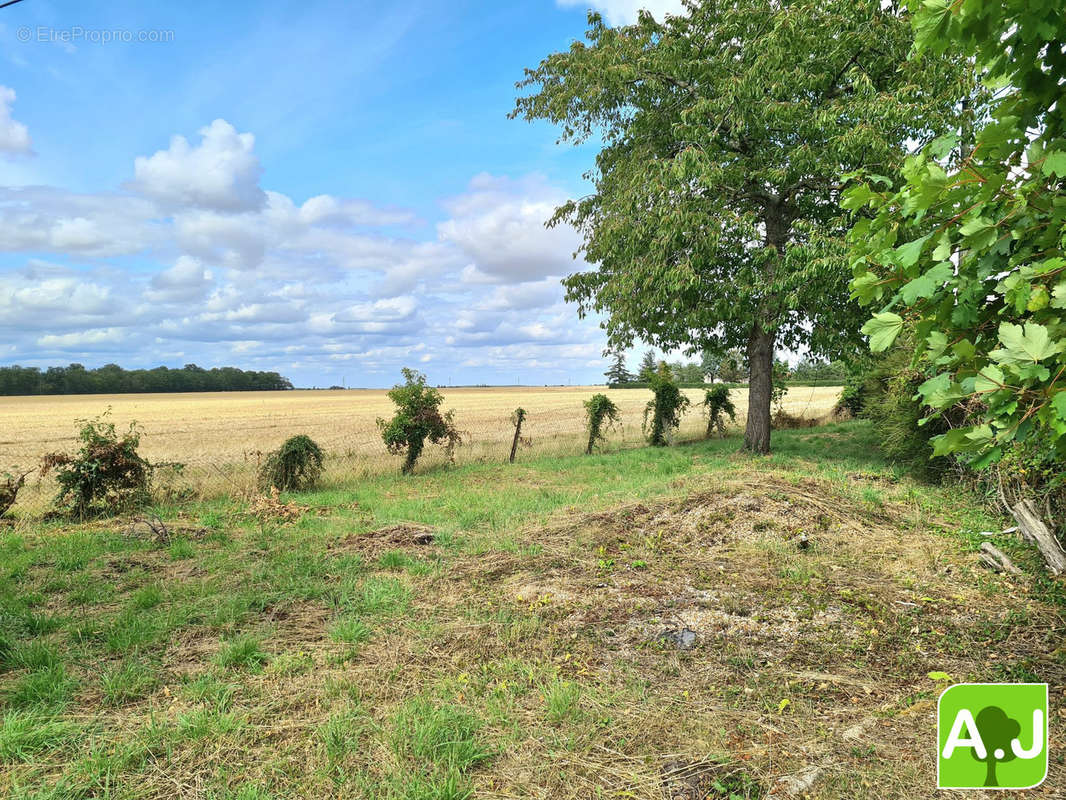 Terrain à JUMELLES