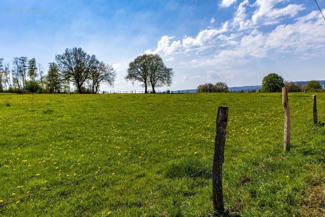 Terrain à FONTAINE-FRANCAISE