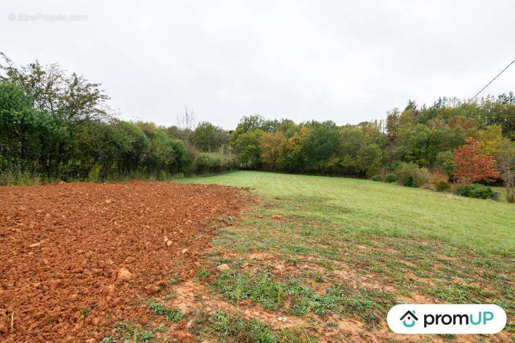 Terrain à CASTRES