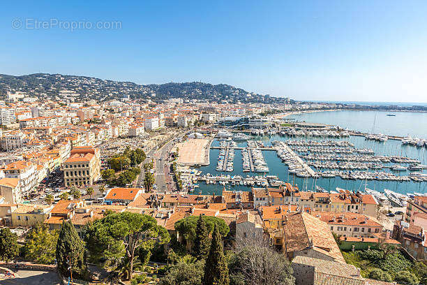 Commerce à CANNES