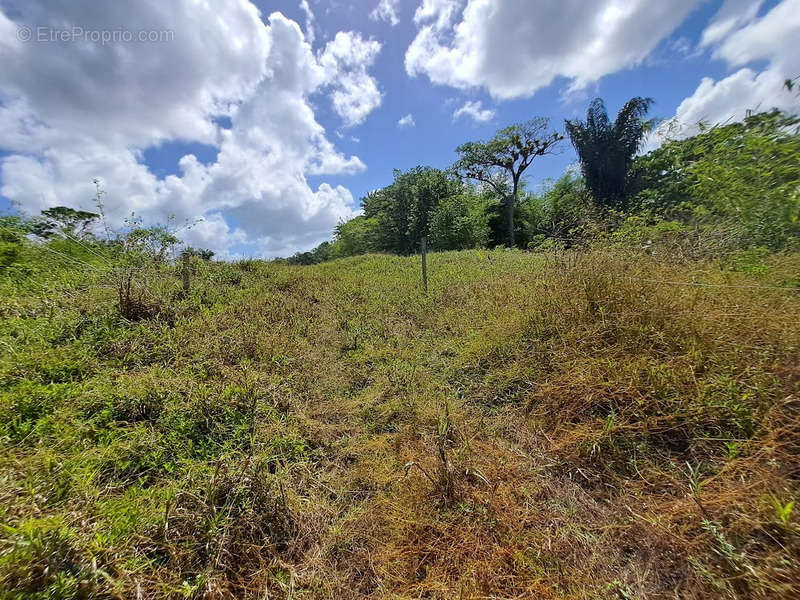 Terrain à MONTSINERY-TONNEGRANDE