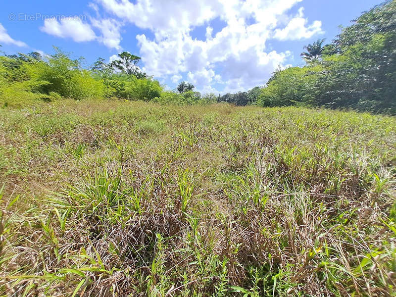 Terrain à MONTSINERY-TONNEGRANDE