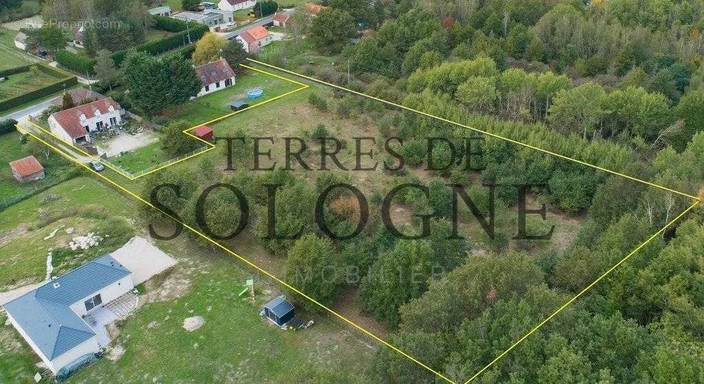 Terrain à MONTRIEUX-EN-SOLOGNE