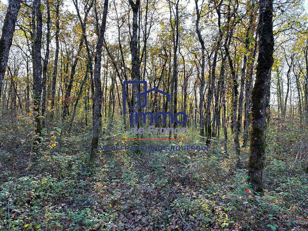 Terrain à SAVIGNAC