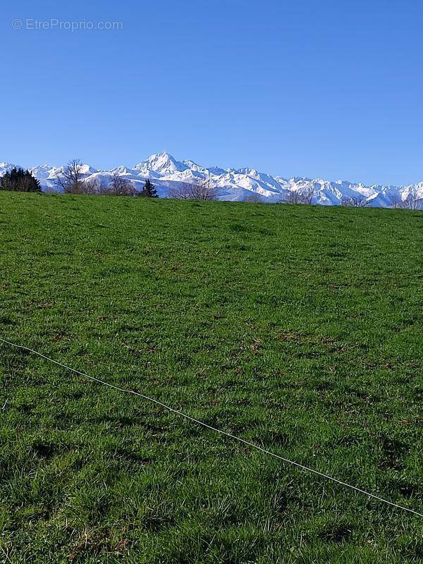 Terrain à HOUEYDETS