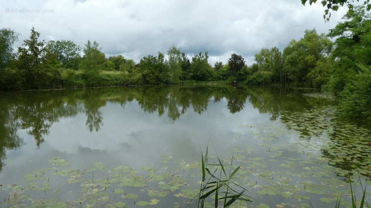 Terrain à SOISSONS