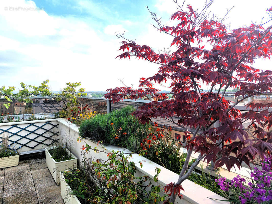 Appartement à NOGENT-SUR-MARNE