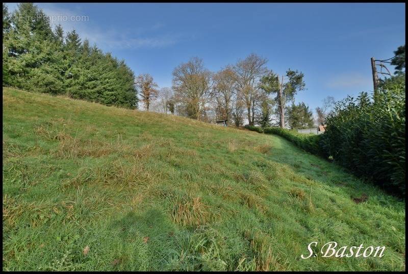 Terrain à SAINT-MARTIN-DU-VIVIER