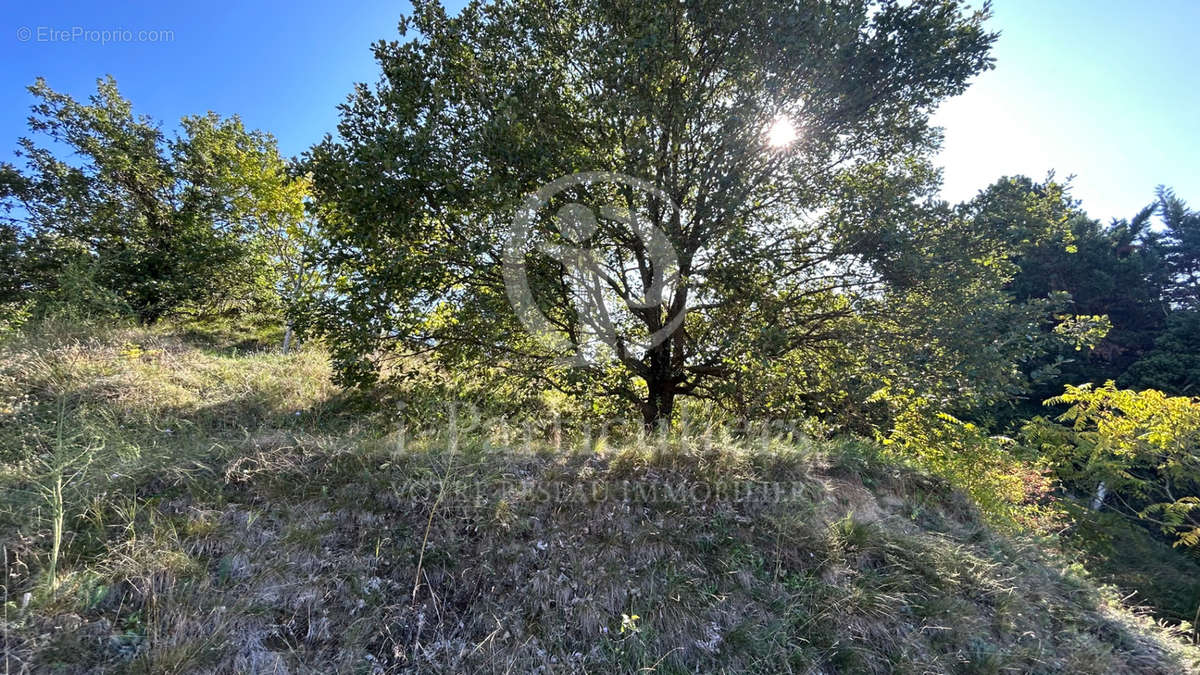 Terrain à PEYRINS