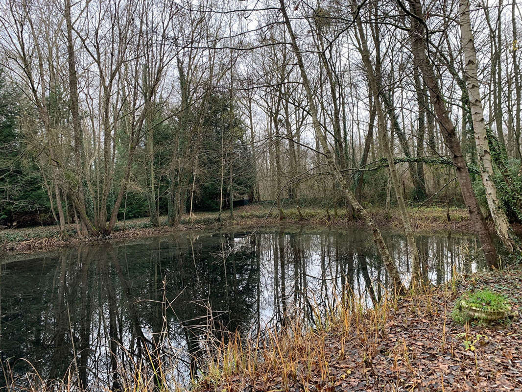 Terrain à NOUVION-LE-VINEUX