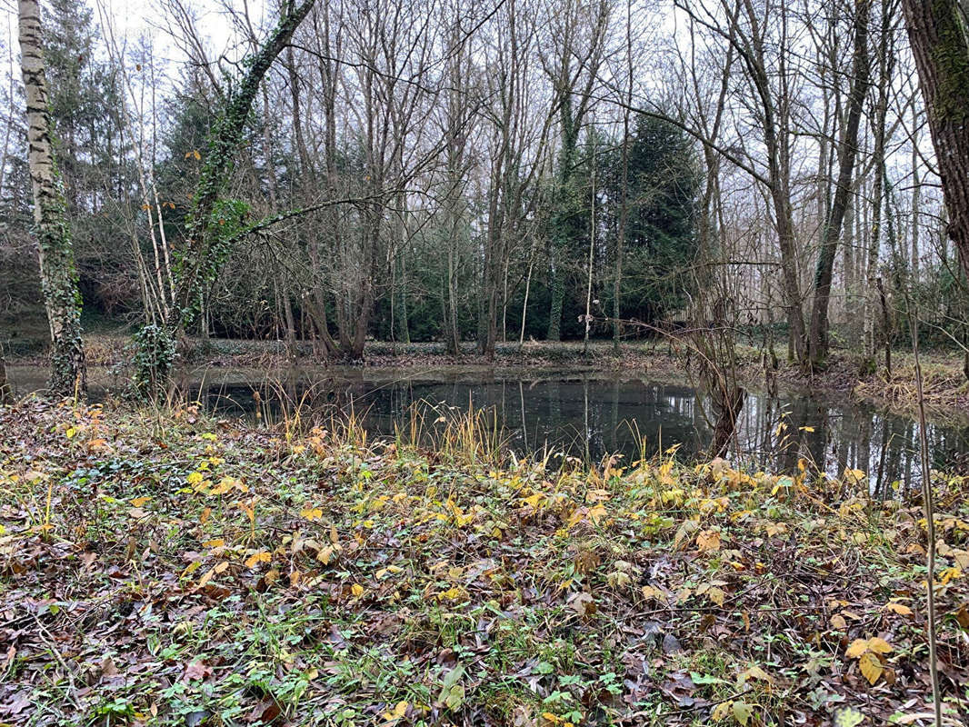 Terrain à NOUVION-LE-VINEUX