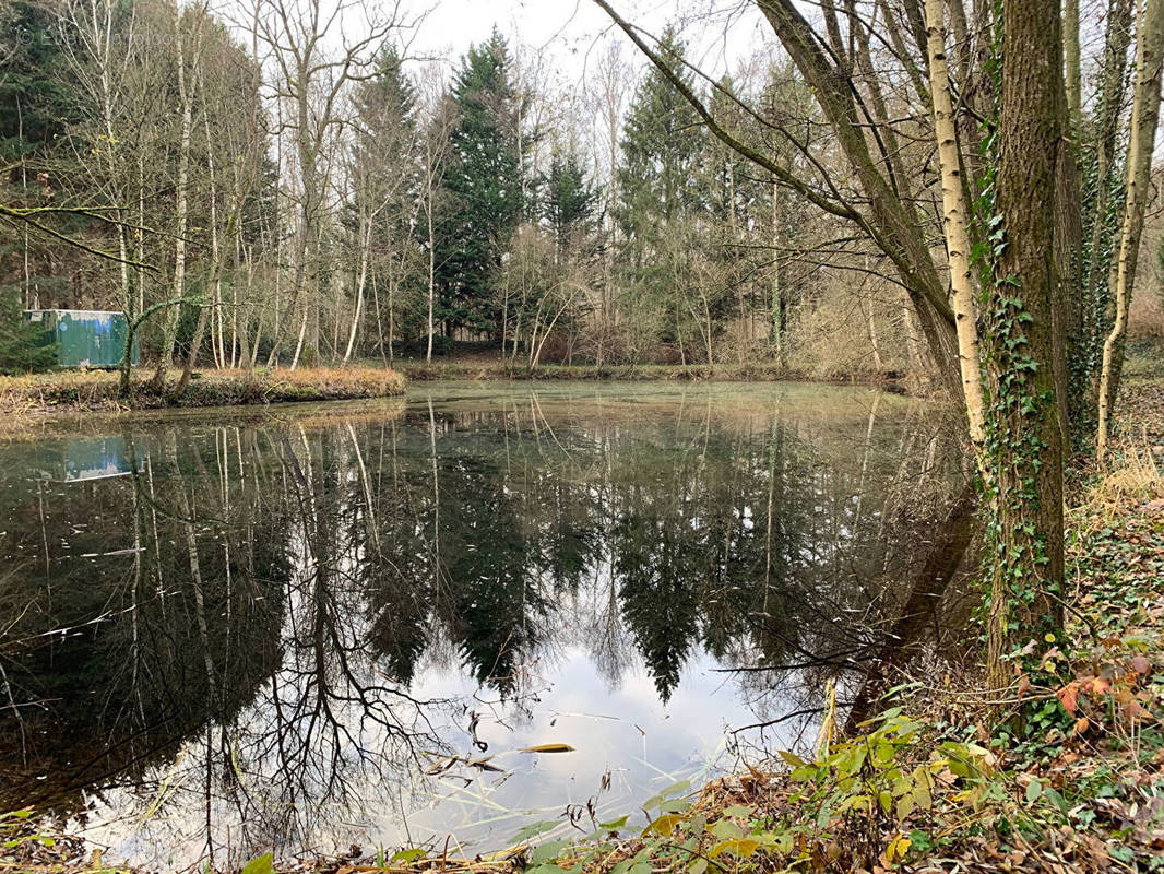 Terrain à NOUVION-LE-VINEUX