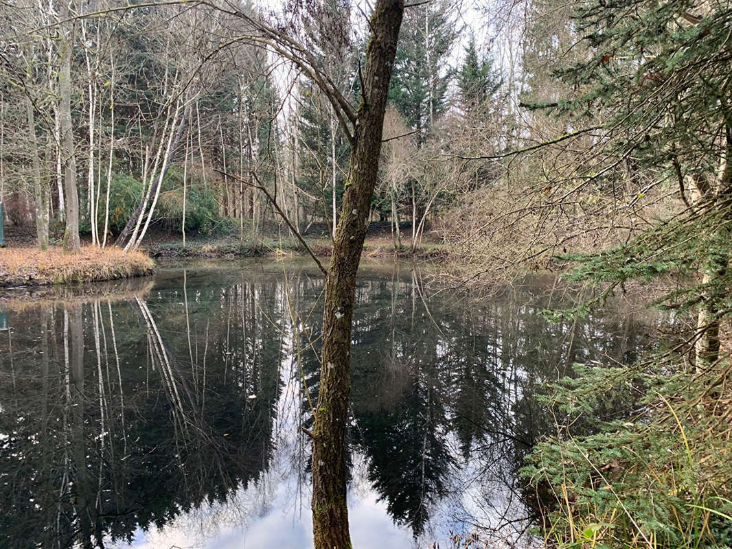 Terrain à NOUVION-LE-VINEUX