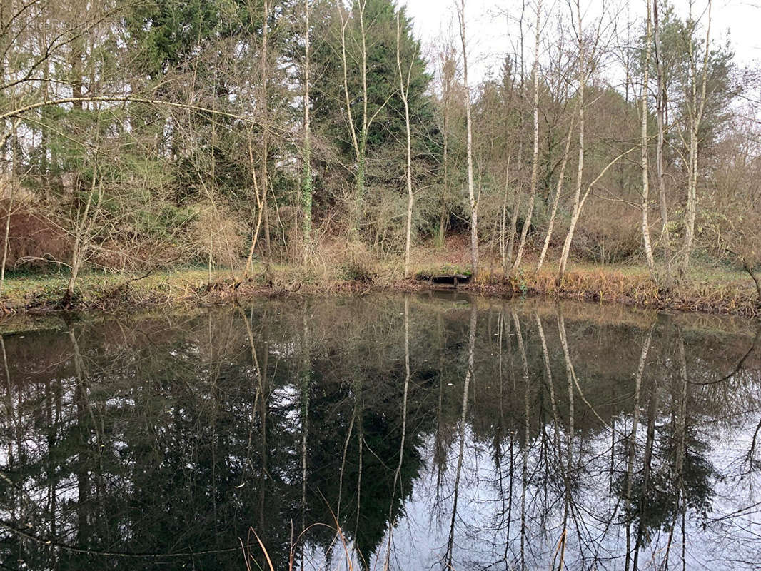 Terrain à NOUVION-LE-VINEUX